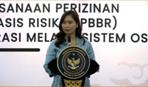 Wakil Menteri Pariwisata (Wamenpar) Republik Indonesia, Ni Luh Enik Ermawati